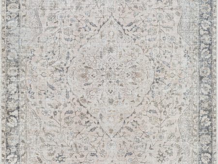 Becki Owens X Livabliss Amelie AML-2386 Area Rug For Sale